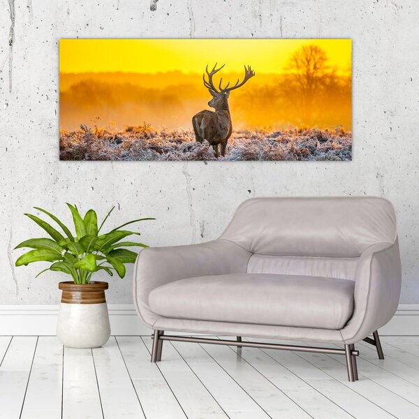 Kép - Szarvas napfelkeltekor (120x50 cm)
