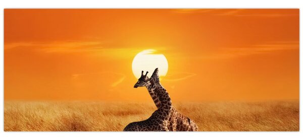 Kép - Zsiráfok a Serengeti Nemzeti Parkban (120x50 cm)