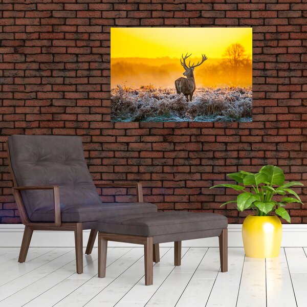 Kép - Szarvas napfelkeltekor (90x60 cm)