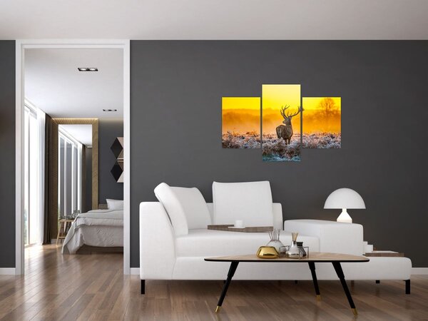 Kép - Szarvas napfelkeltekor (90x60 cm)