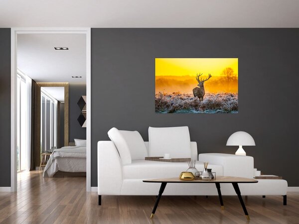 Kép - Szarvas napfelkeltekor (90x60 cm)