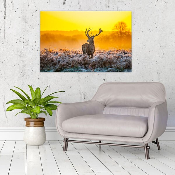 Kép - Szarvas napfelkeltekor (90x60 cm)