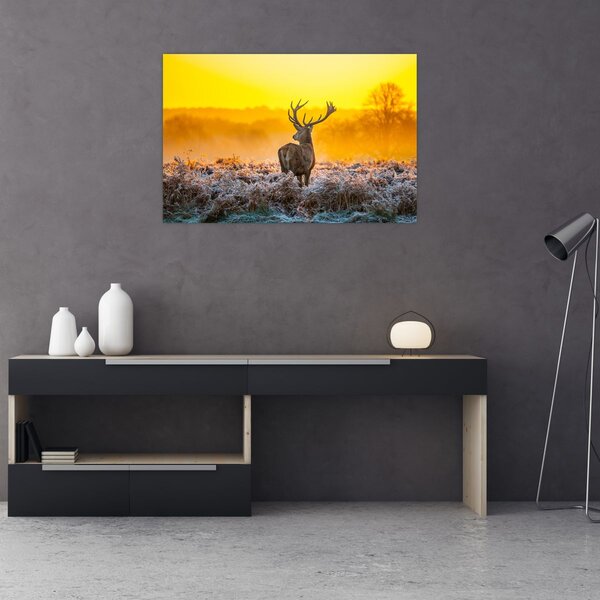 Kép - Szarvas napfelkeltekor (90x60 cm)