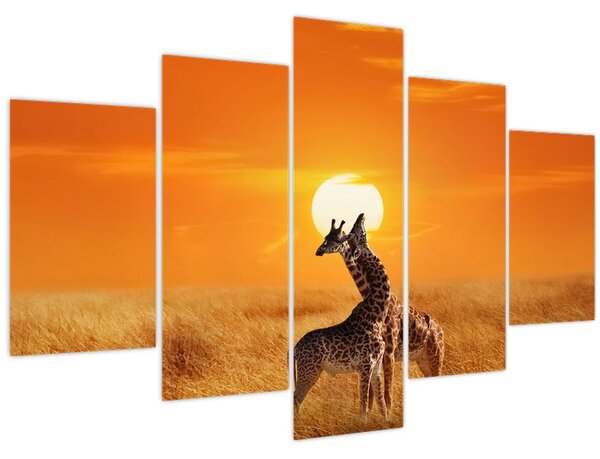 Kép - Zsiráfok a Serengeti Nemzeti Parkban (150x105 cm)