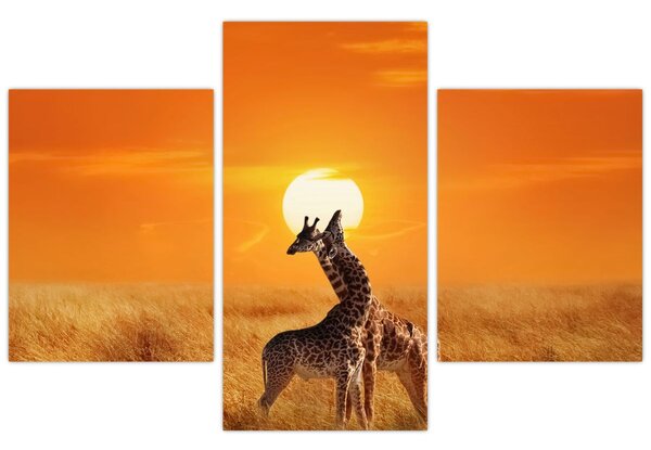 Kép - Zsiráfok a Serengeti Nemzeti Parkban (90x60 cm)