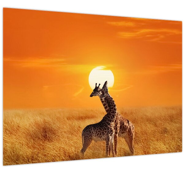 Kép - Zsiráfok a Serengeti Nemzeti Parkban (70x50 cm)