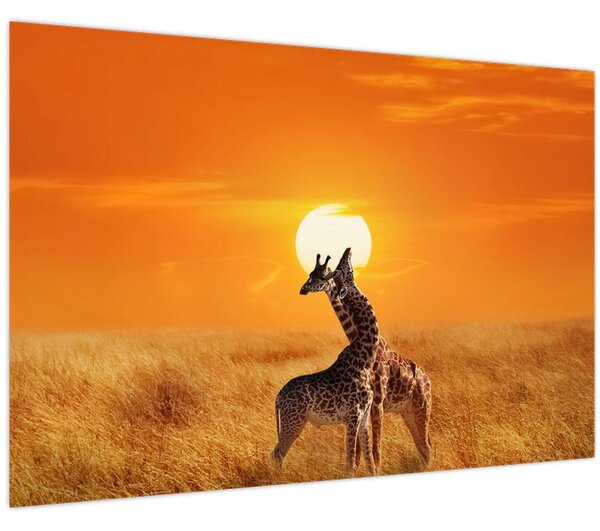 Kép - Zsiráfok a Serengeti Nemzeti Parkban (90x60 cm)