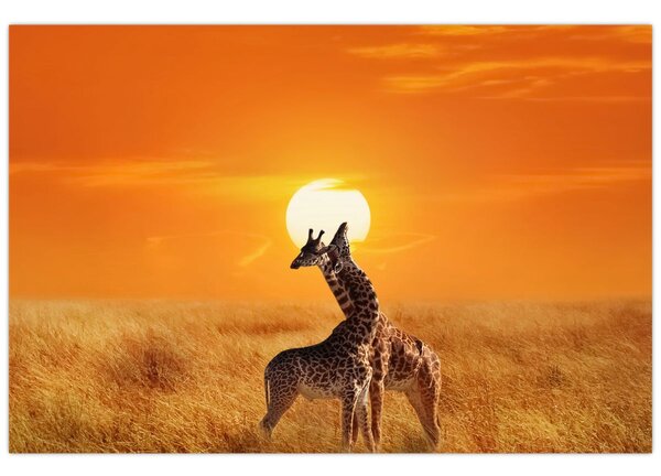Kép - Zsiráfok a Serengeti Nemzeti Parkban (90x60 cm)