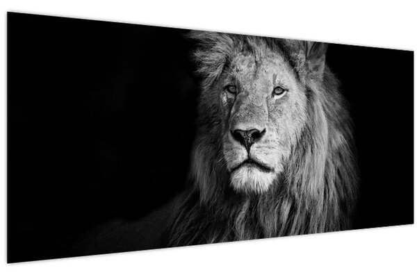 Kép - Oroszlán, fekete-fehér (120x50 cm)