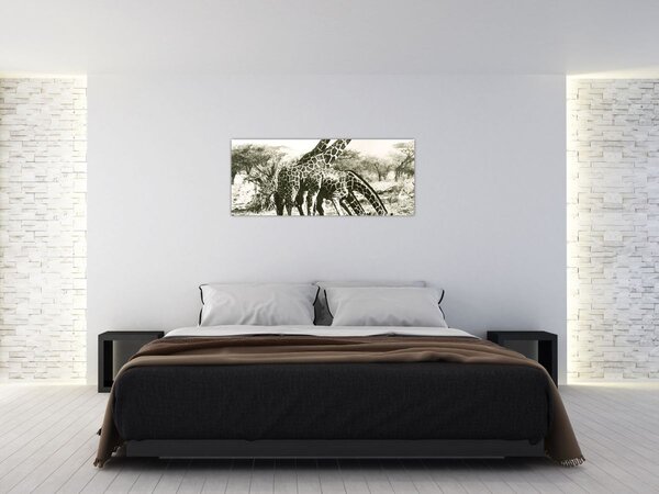 Kép - Zsiráfok, vintage (120x50 cm)
