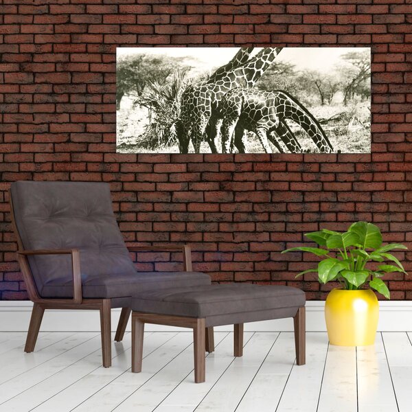 Kép - Zsiráfok, vintage (120x50 cm)