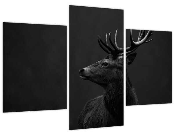 Kép - Egy szarvas portréja (90x60 cm)