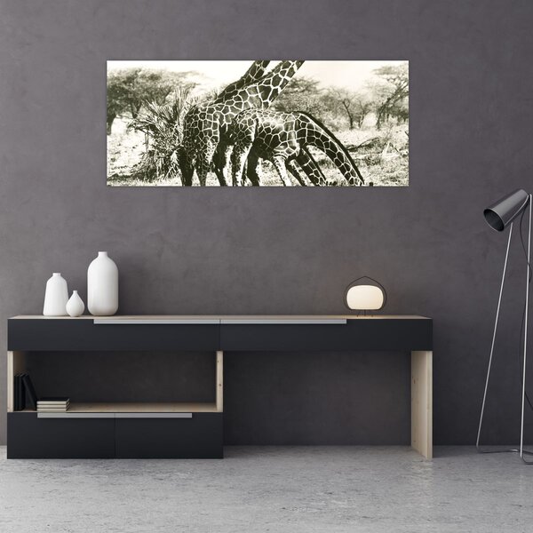 Kép - Zsiráfok, vintage (120x50 cm)
