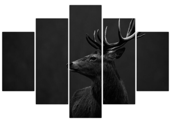 Kép - Egy szarvas portréja (150x105 cm)