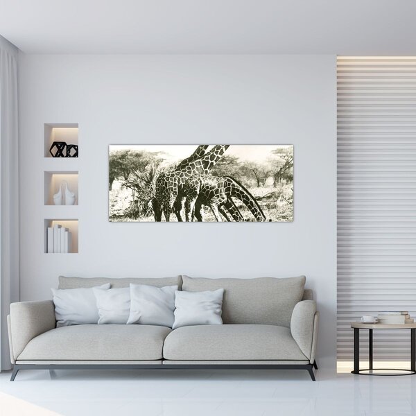 Kép - Zsiráfok, vintage (120x50 cm)