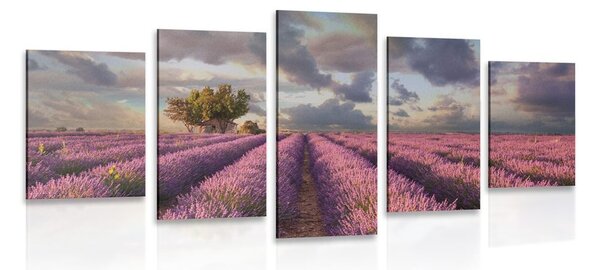 5 részes kép levandula mező országja