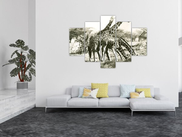 Kép - Zsiráfok, vintage (150x105 cm)