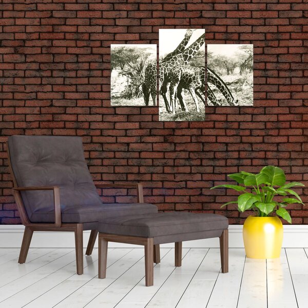 Kép - Zsiráfok, vintage (90x60 cm)