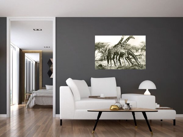 Kép - Zsiráfok, vintage (90x60 cm)