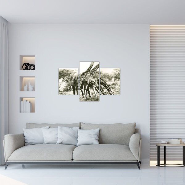 Kép - Zsiráfok, vintage (90x60 cm)