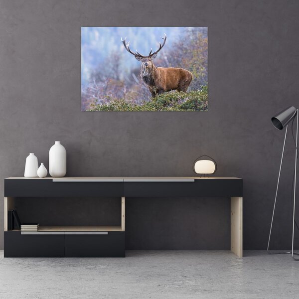 Kép - Szarvasok a tájban (90x60 cm)
