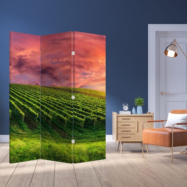 Paraván - Szőlőskert és a színes égbolt (126x170 cm)