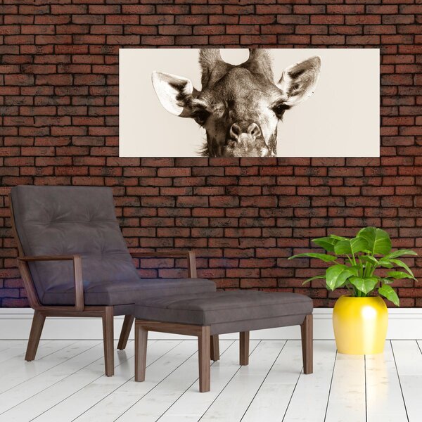 Kép - Zsiráf portré, vintage (120x50 cm)