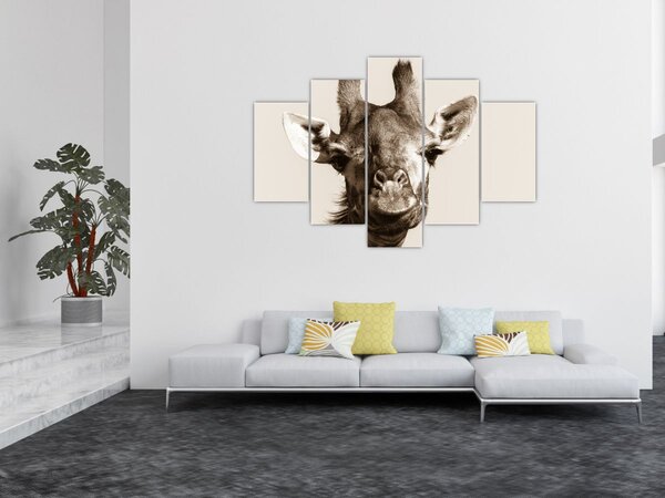 Kép - Zsiráf portré, vintage (150x105 cm)