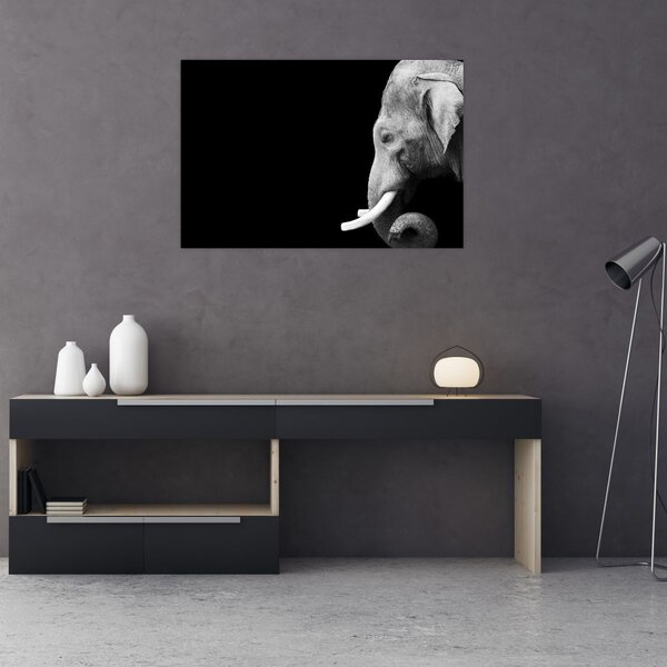 Kép - Elefánt (90x60 cm)