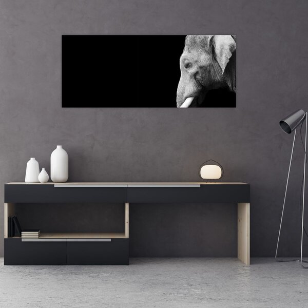 Kép - Elefánt (120x50 cm)