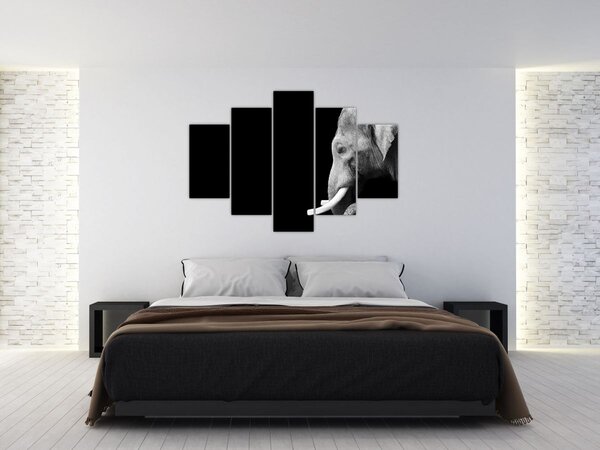 Kép - Elefánt (150x105 cm)