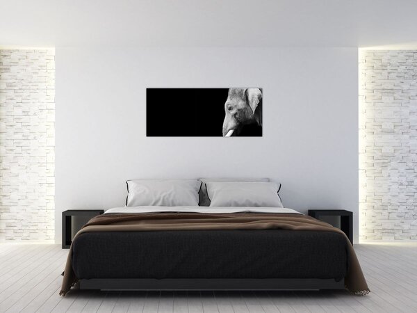 Kép - Elefánt (120x50 cm)