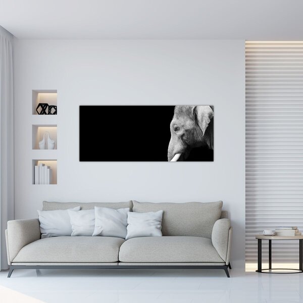 Kép - Elefánt (120x50 cm)