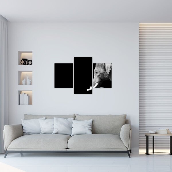 Kép - Elefánt (90x60 cm)