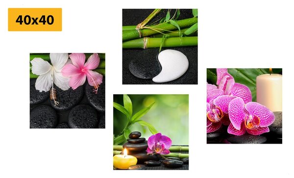 Képszett Feng Shui csendélet