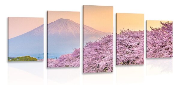 5 részes kép látványos Japán ország