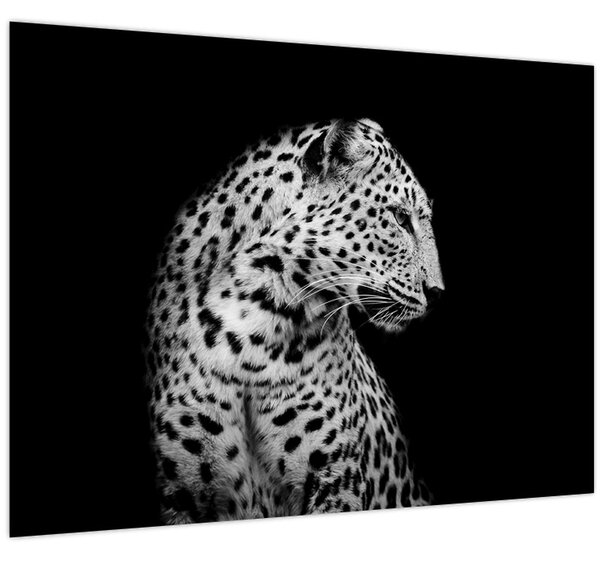 Kép - Leopárd (70x50 cm)