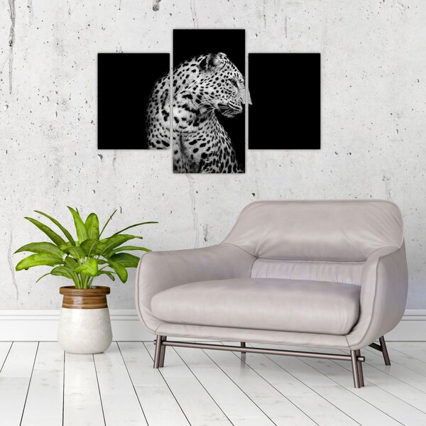 Kép - Leopárd (90x60 cm)