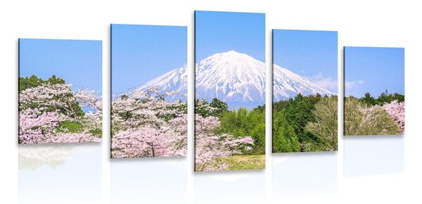 5 részes kép Fuji vulkán