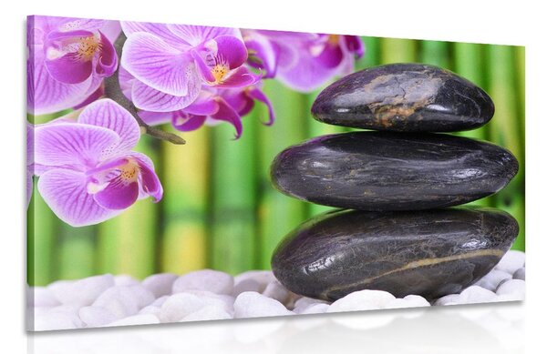 Kép japán Zen kert