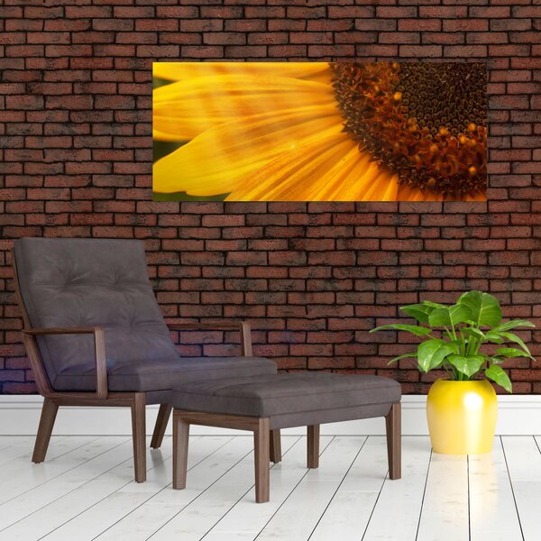 Kép - Napraforgók (120x50 cm)