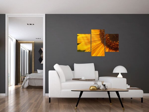 Kép - Napraforgók (90x60 cm)