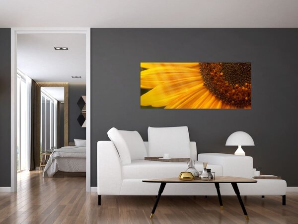 Kép - Napraforgók (120x50 cm)
