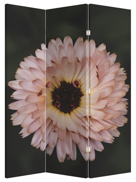 Paraván - Narancsságra virág (126x170 cm)