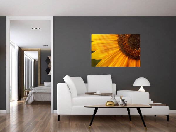 Kép - Napraforgók (90x60 cm)