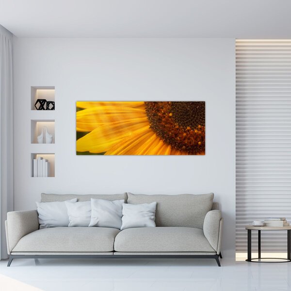 Kép - Napraforgók (120x50 cm)