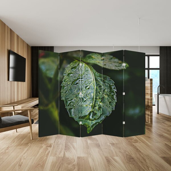 Paraván - cseppek a levelen (210x170 cm)