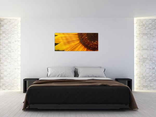 Kép - Napraforgók (120x50 cm)