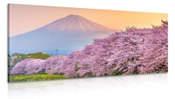 Kép látvínyos Japán ország