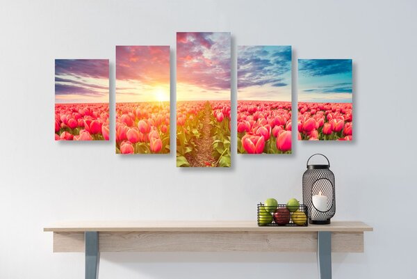 5 részes kép napkelte tulipánok felett